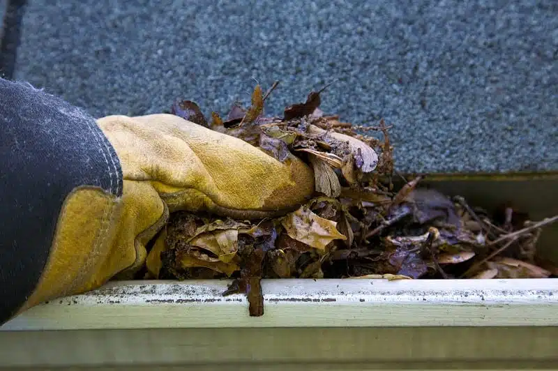 cleaning your gutters
