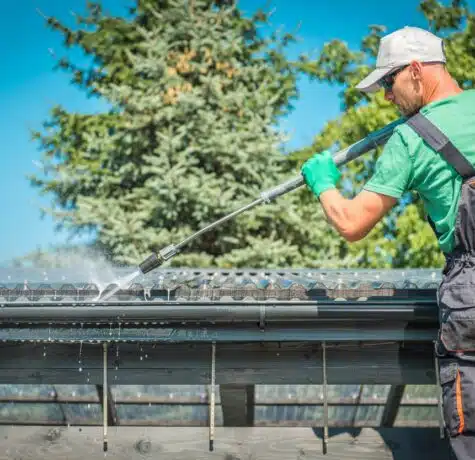 roof cleaning