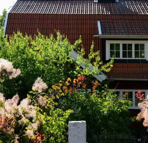 house roof