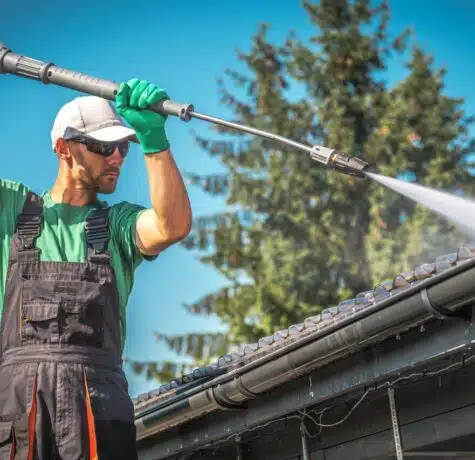 roof cleaning