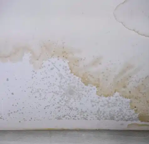 roof leaks