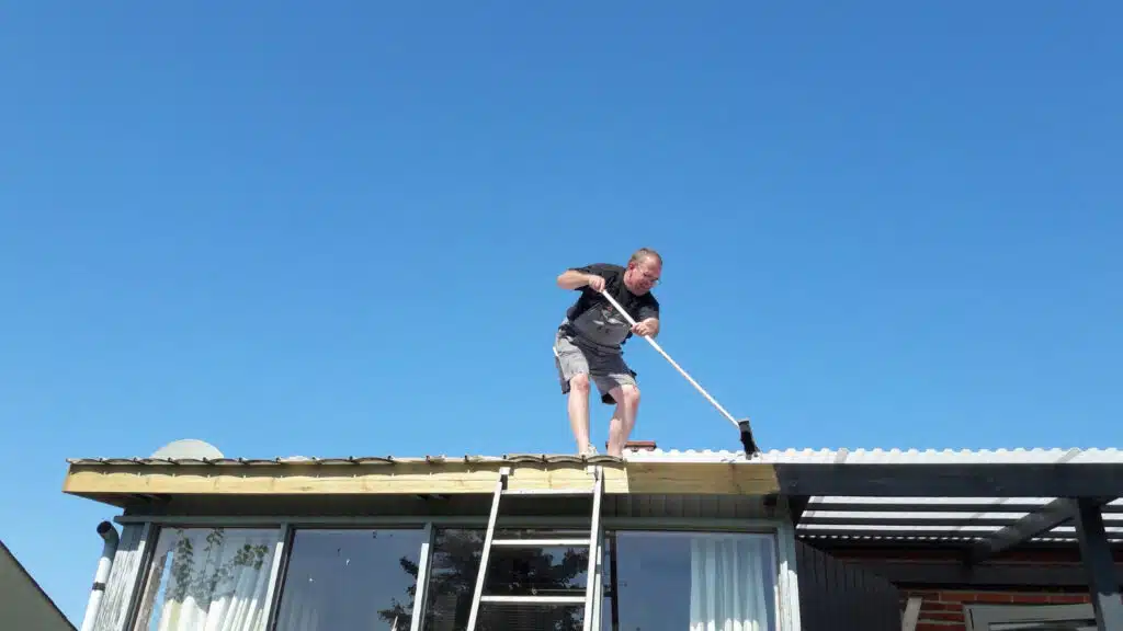 roof cleaning