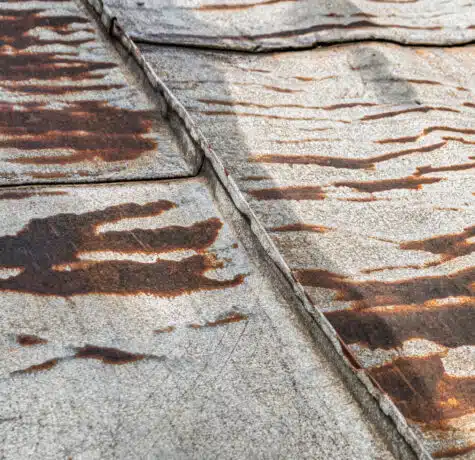 Tackling Rust Issues in Coastal Florida Areas