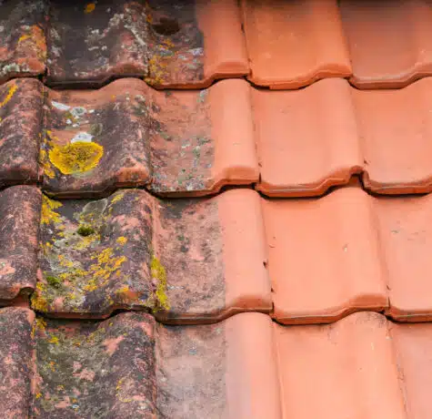 Comparison,Roof,Top,Before,And,After,Cleaning,Moss,Lichen,High
