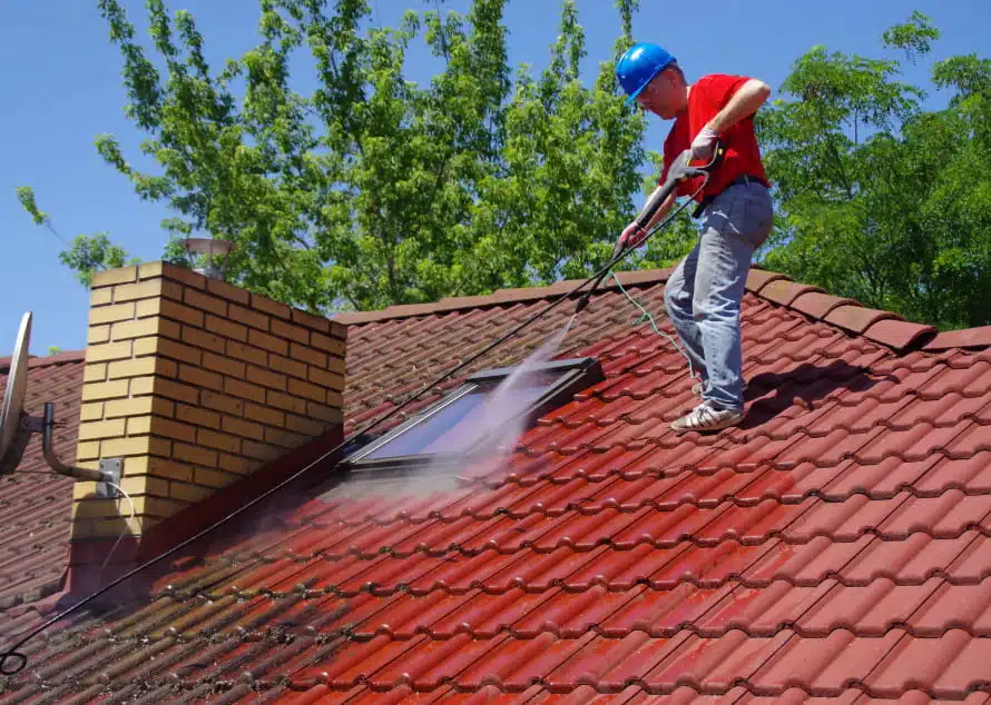 roof cleaning in kelly park