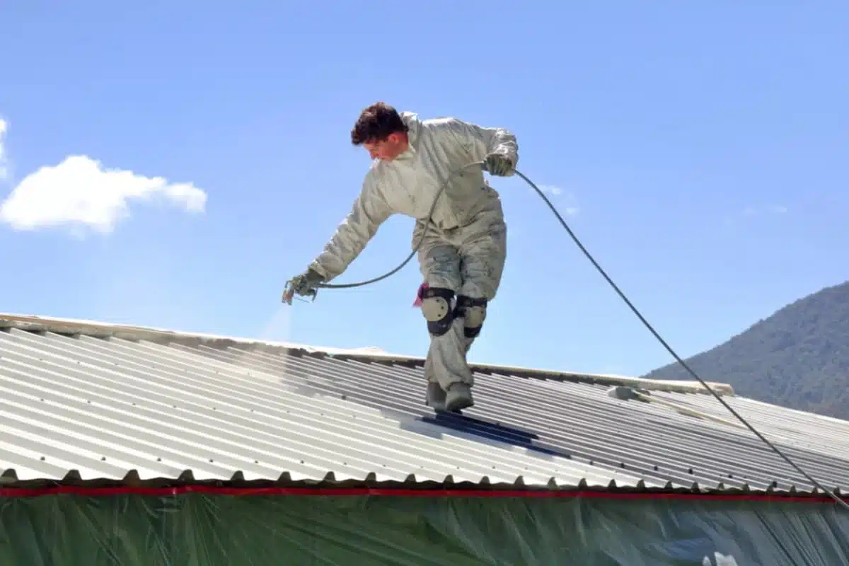 roof coatings in kelly park