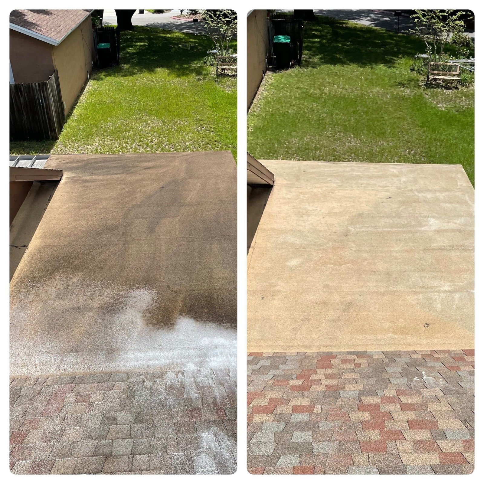 shingle-before-and-after-shampoo-scaled.jpeg