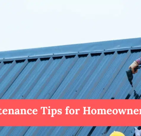 Roof Maintenance Tips for Homeowners