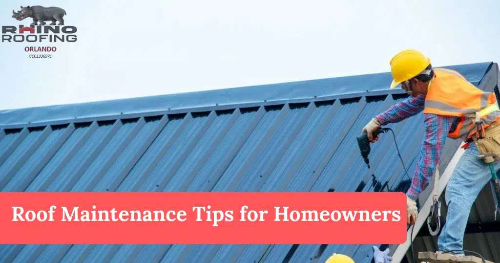 Roof Maintenance Tips for Homeowners